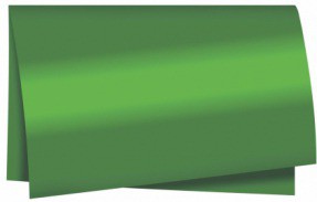 SUJINHO ALB LISO C/50 VERDE FOLHA